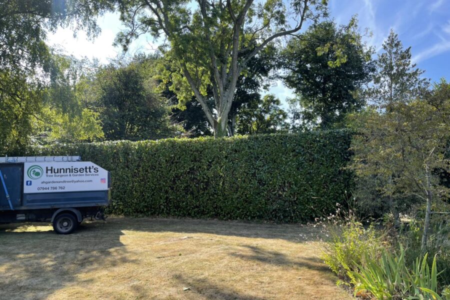Hunnisetts_tree_services